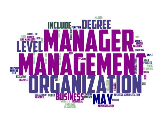 Administration Manager Typography Skinny