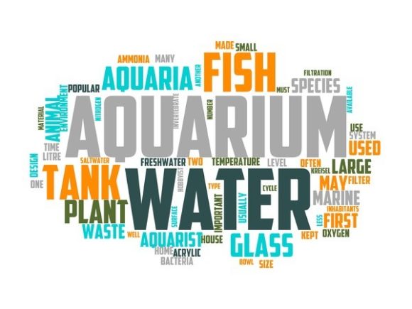 Aquarium Typography Crafting: Where Hand-Drawn Charm Meets Versatile Design