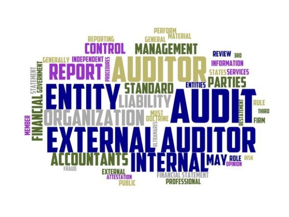 Audit Manager Typography Skinny Tumbler