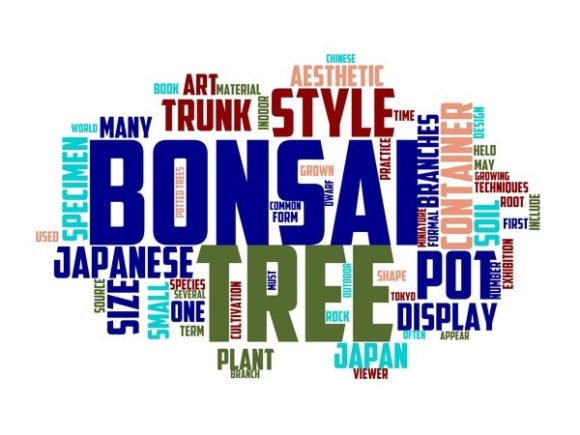 Bonsai Tree Typography Sticker